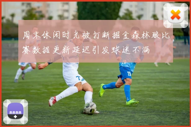 周末休闲时光被打断掘金森林狼比赛数据更新延迟引发球迷不满