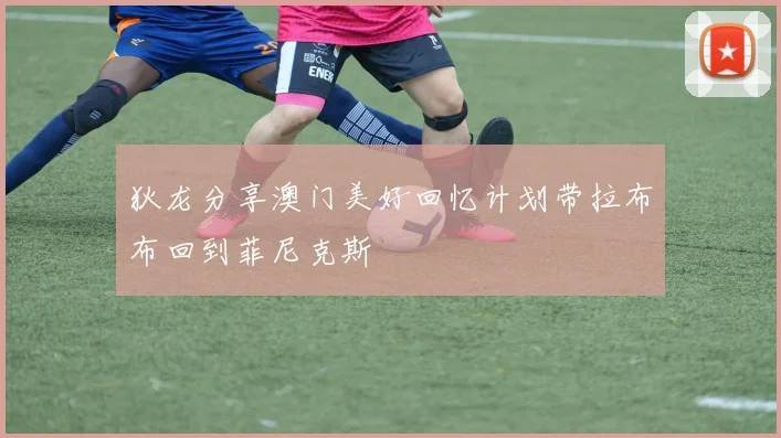 狄龙分享澳门美好回忆计划带拉布布回到菲尼克斯