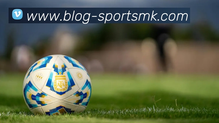 MK体育平台生态图